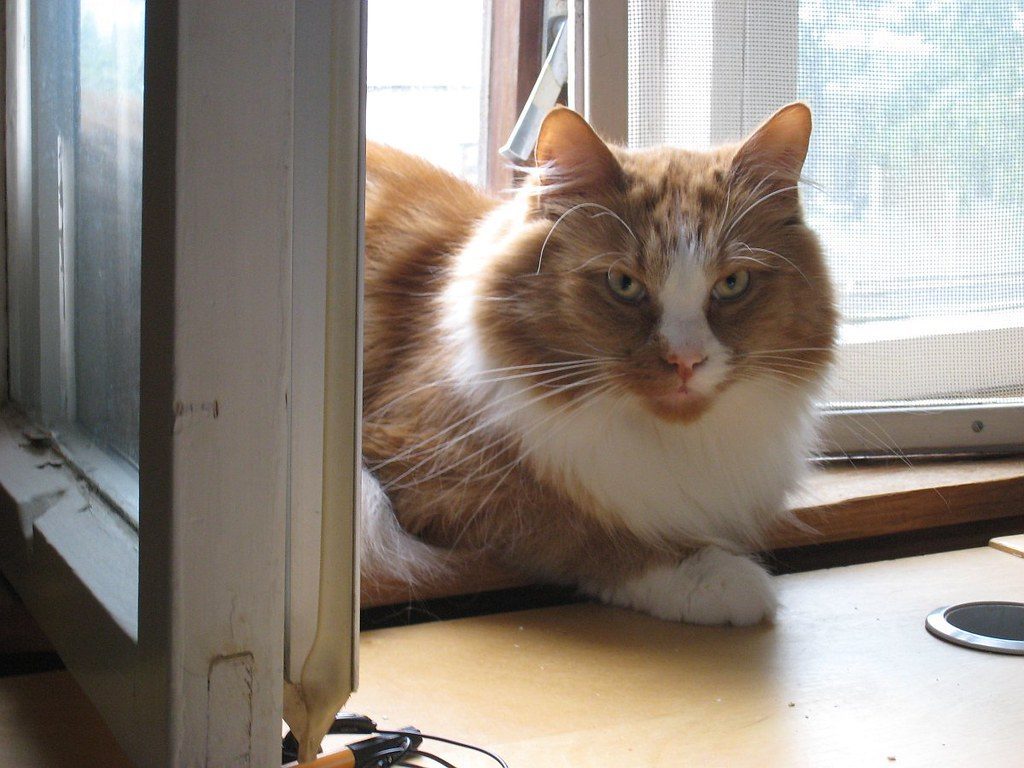 Create Outdoor Access Safely (Image Credits: Flickr)