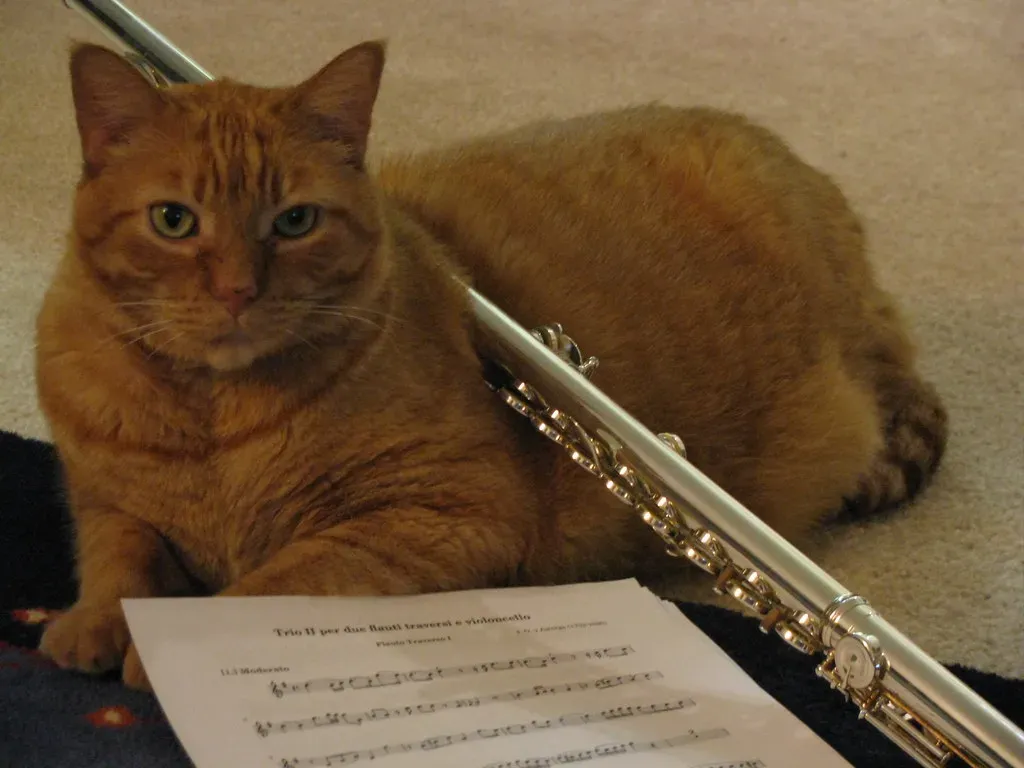 Knocking Things Off Tables Sharpens Their Hunting Skills (Image Credits: Flickr)