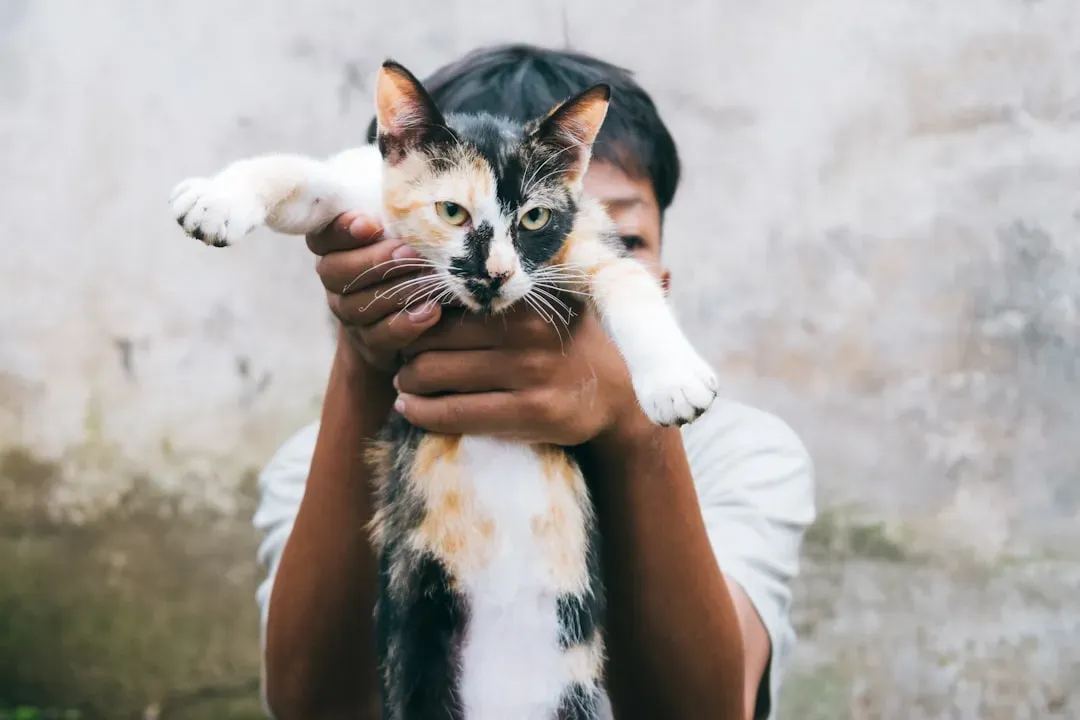 The Bond Between You Creates Emotional Attunement (Image Credits: Unsplash)