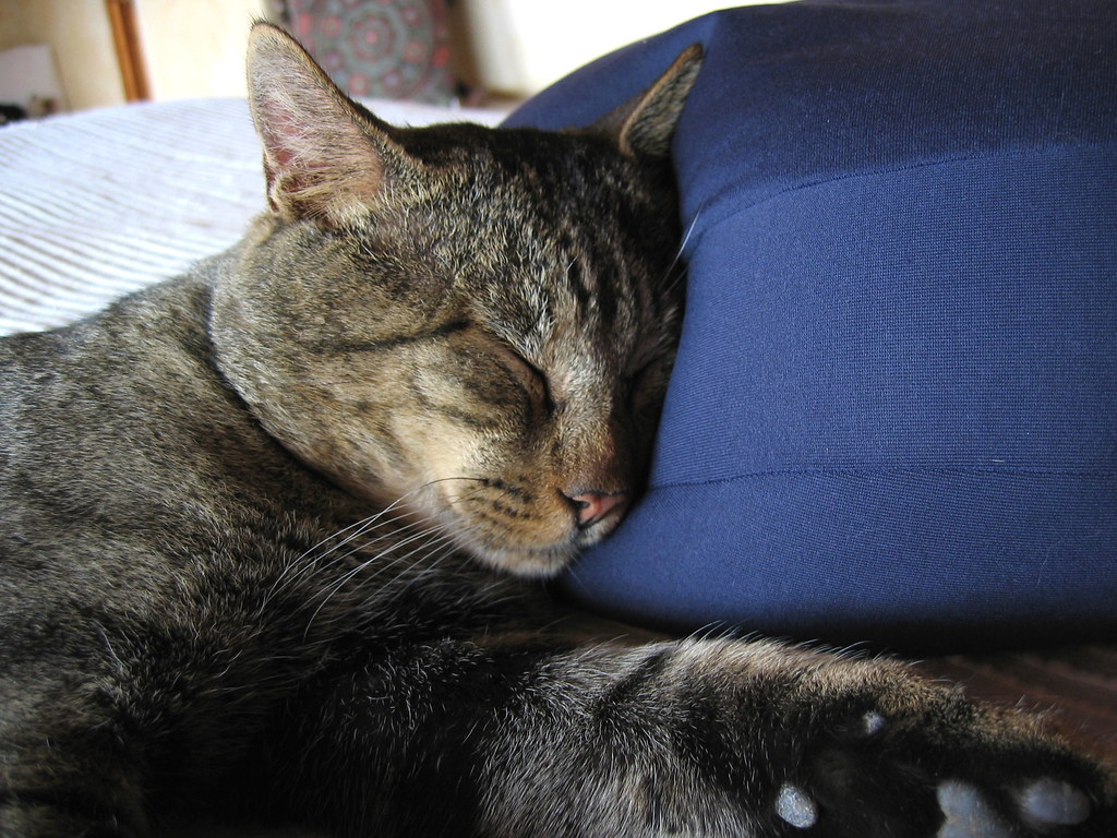 Consider Anti-Nausea Support When Needed (Image Credits: Flickr)