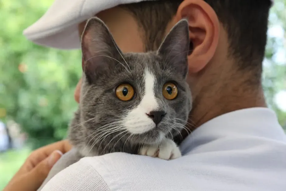 15. They Trust You With Vulnerable Moments (Image Credits: Pexels)