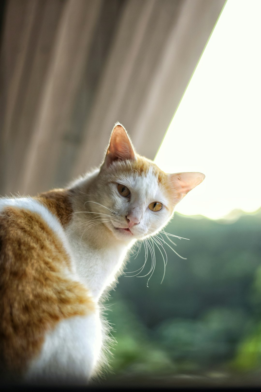 We'll Meet Again (Image Credits: Unsplash)