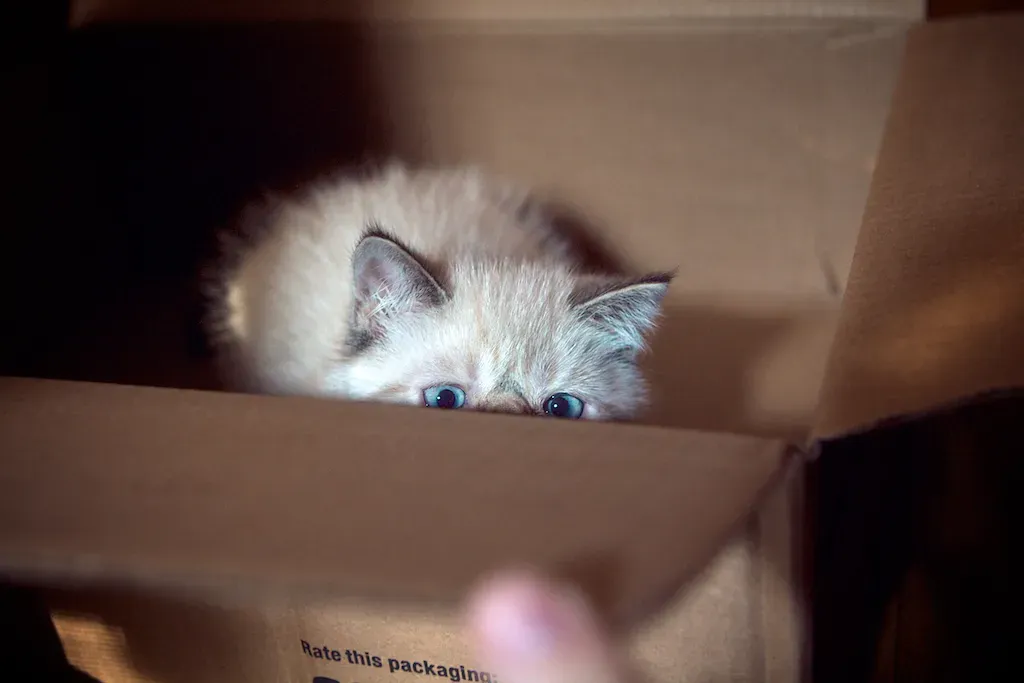 Conflict Avoidance and Personal Space (Image Credits: Flickr)