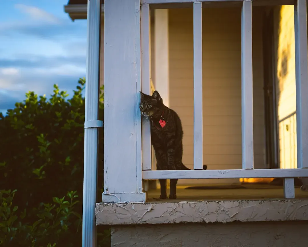3. Your Cat Patrols Territory Like a Silent Security Guard (Image Credits: Unsplash)