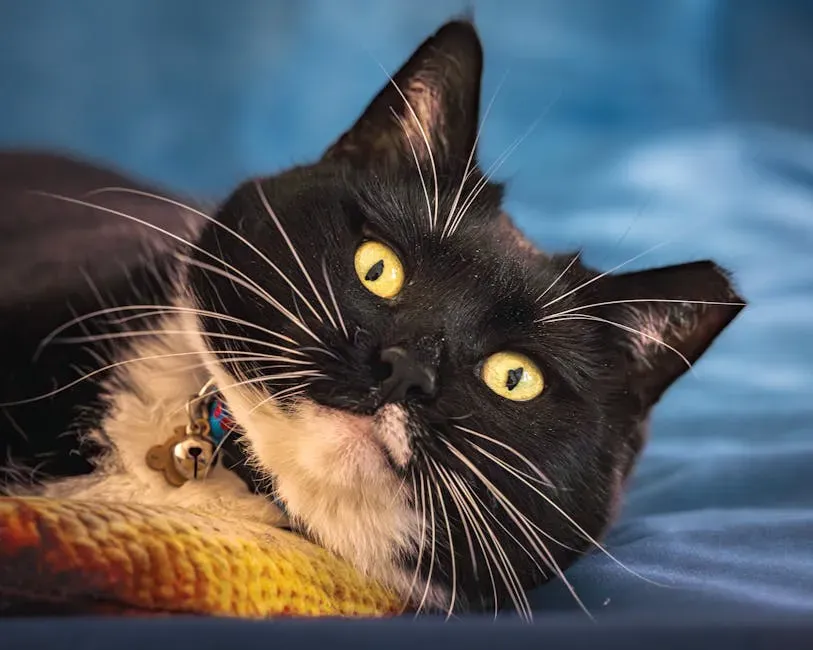 Whiskers as Vision: The Sixth Sense That Extends Their World (Image Credits: Pexels)