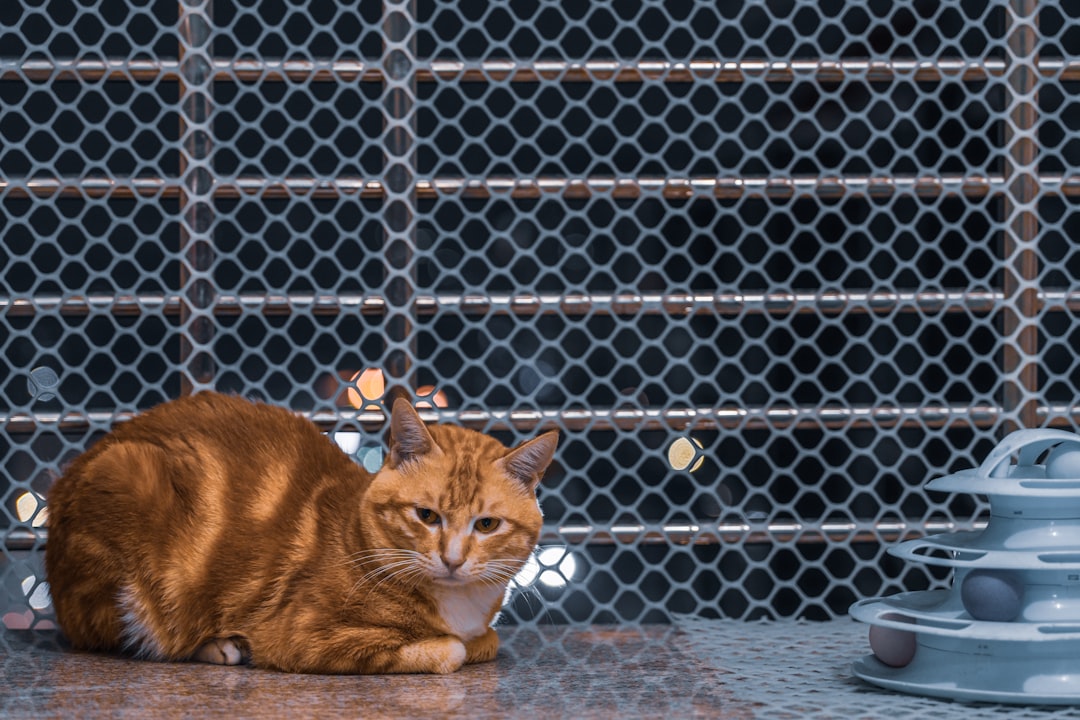 Create Positive Associations (Image Credits: Unsplash)