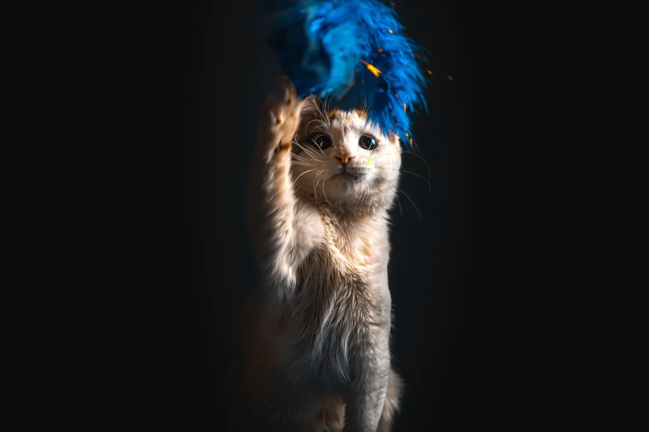 They Honor Natural Rhythms Without Apology (Image Credits: Pixabay)