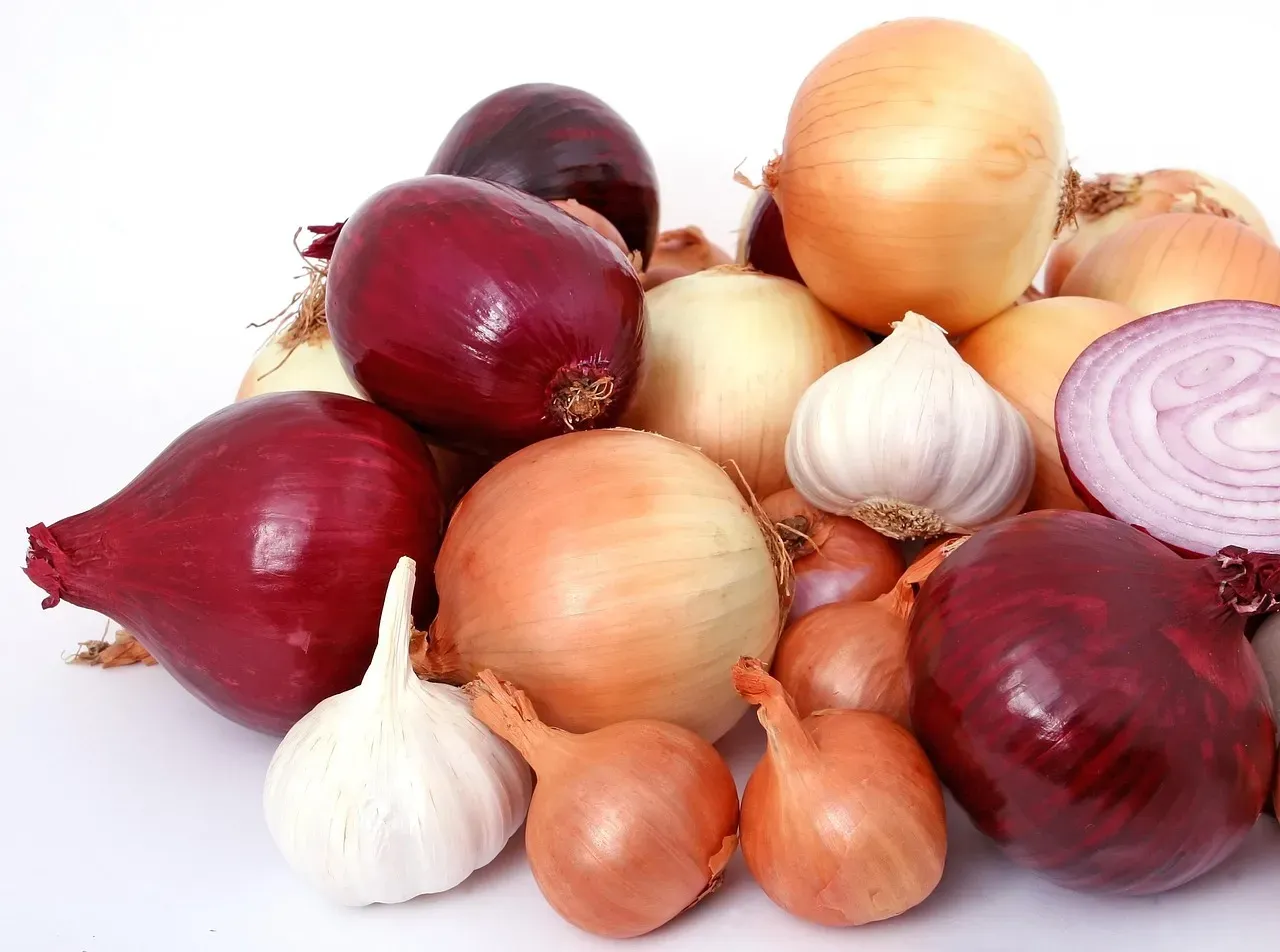 1. Onions, Garlic, and Anything in the Allium Family (Image Credits: Pixabay)