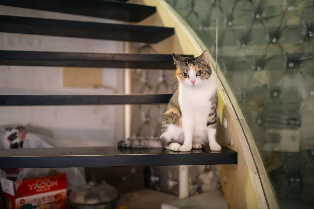 Install Ramps and Steps to Favorite Perches (Image Credits: Unsplash)