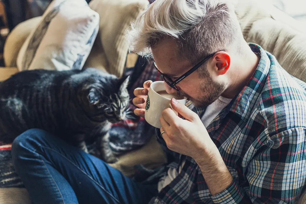 Seeing Your Cat’s Quiet Presence in a New Light (Image Credits: Pixabay)