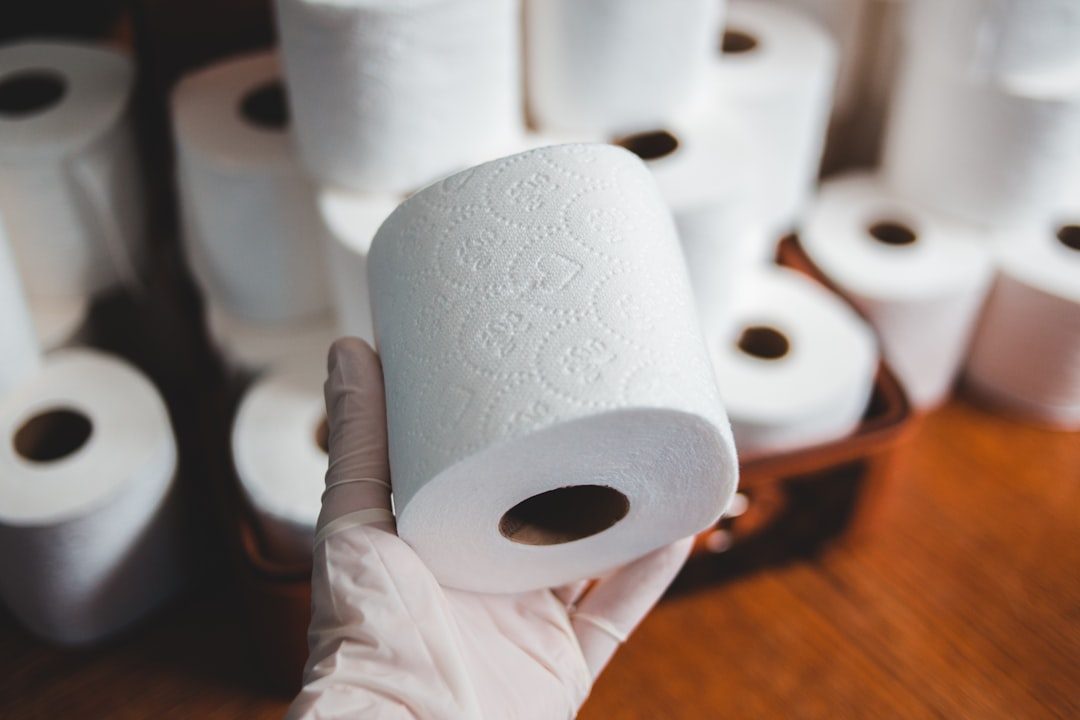 Toilet Paper Rolls: DIY Puzzle Toys (Image Credits: Unsplash)