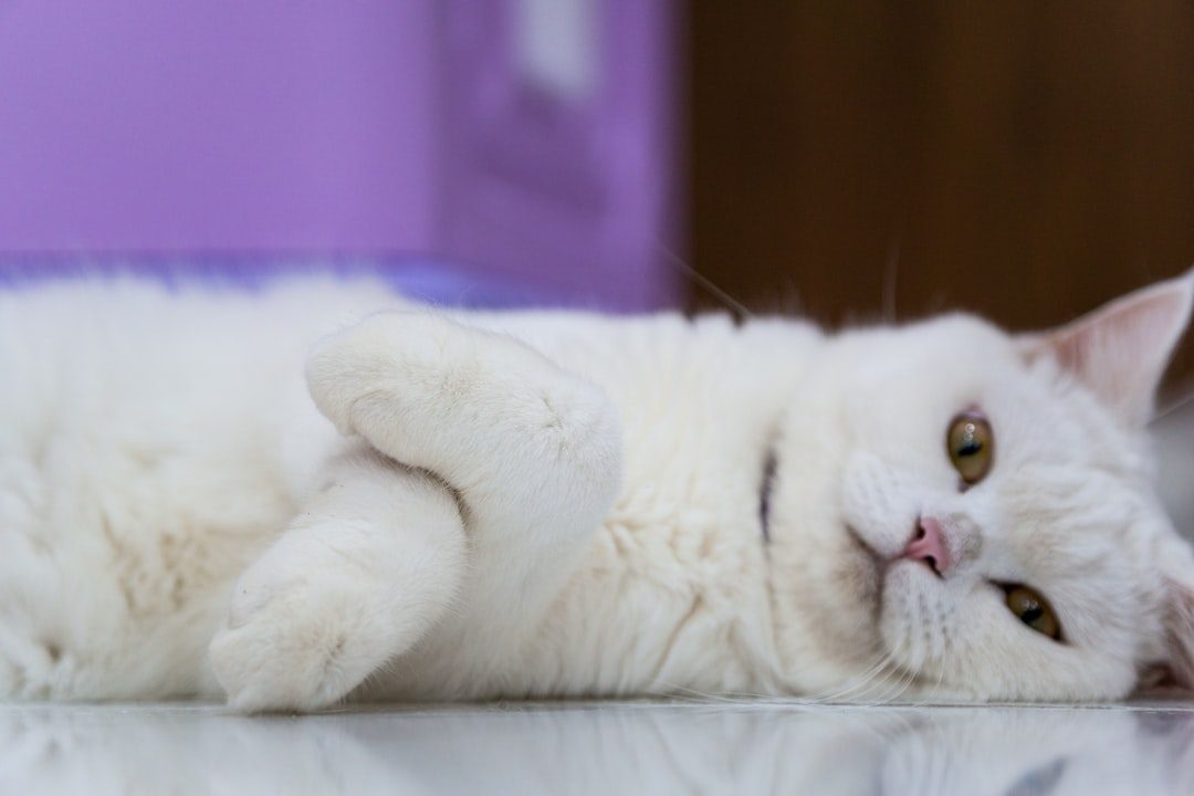 Relaxed Body Posture When Lying Down (Image Credits: Unsplash)