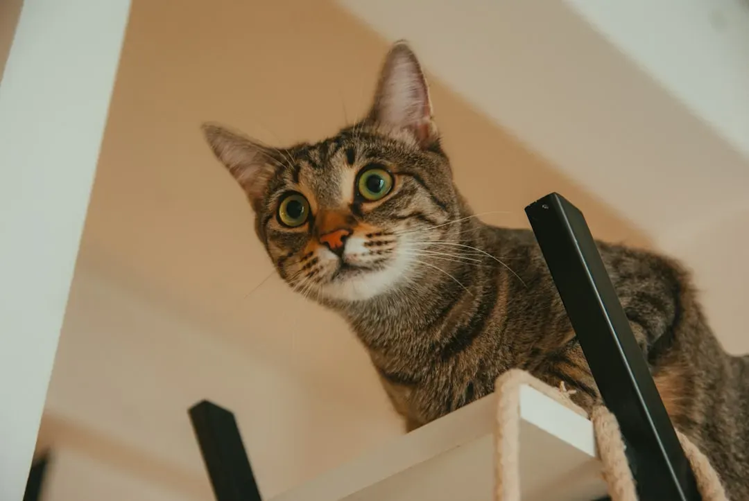 Turning On Loud Household Appliances (Image Credits: Unsplash)