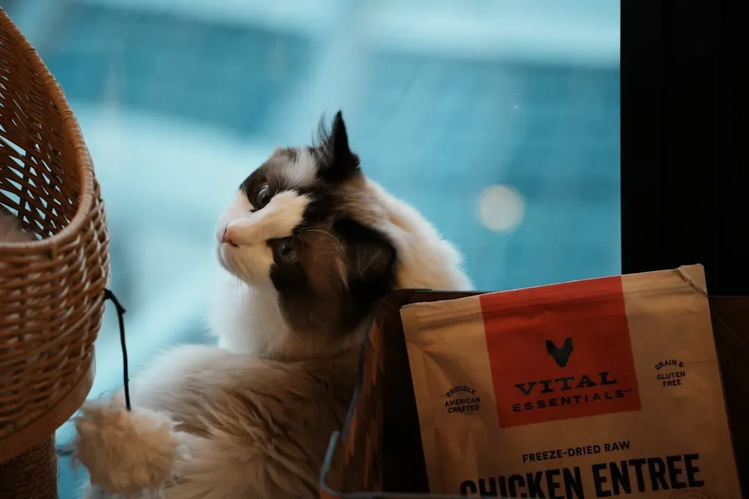 #6 - The Crinkle of Their Food Bag (Image Credits: Unsplash)