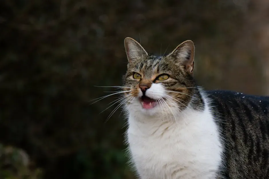 What Exactly Is That Sound Coming Out of Your Cat? (Image Credits: Pexels)