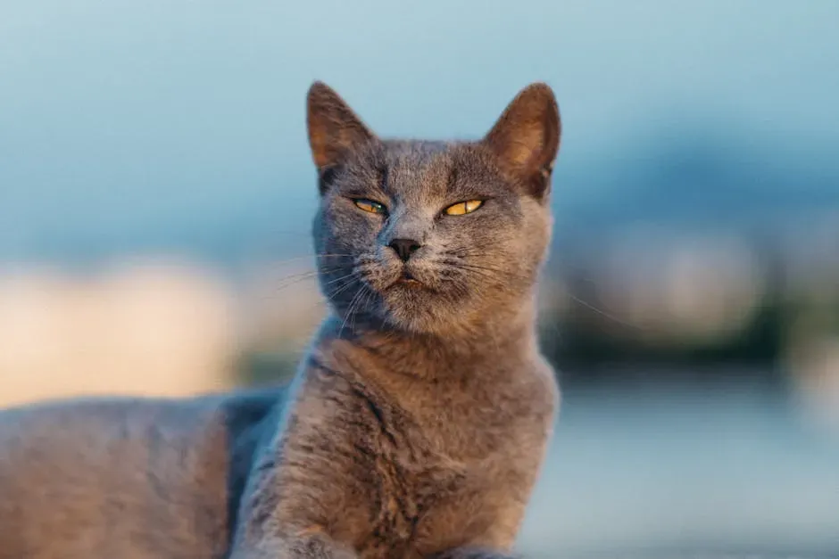 Rapid Blinking and the Side Eye: What They're Really Telling You (Image Credits: Pexels)