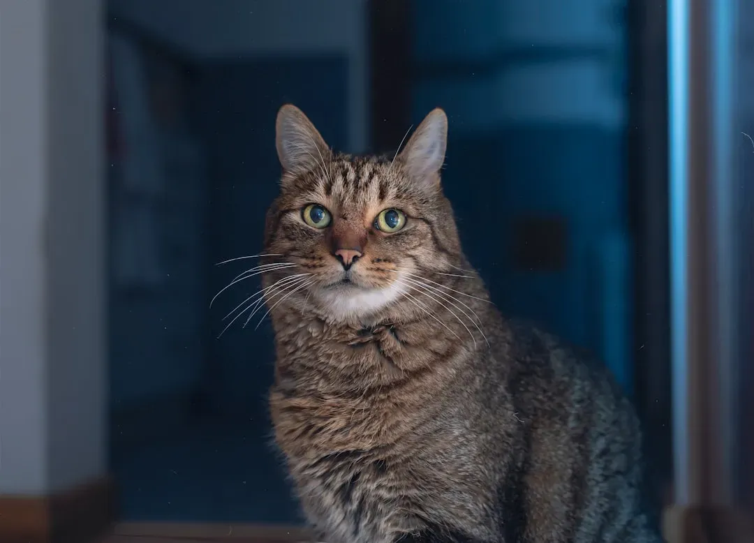 They're All Sick and Will Cost You a Fortune (Image Credits: Unsplash)