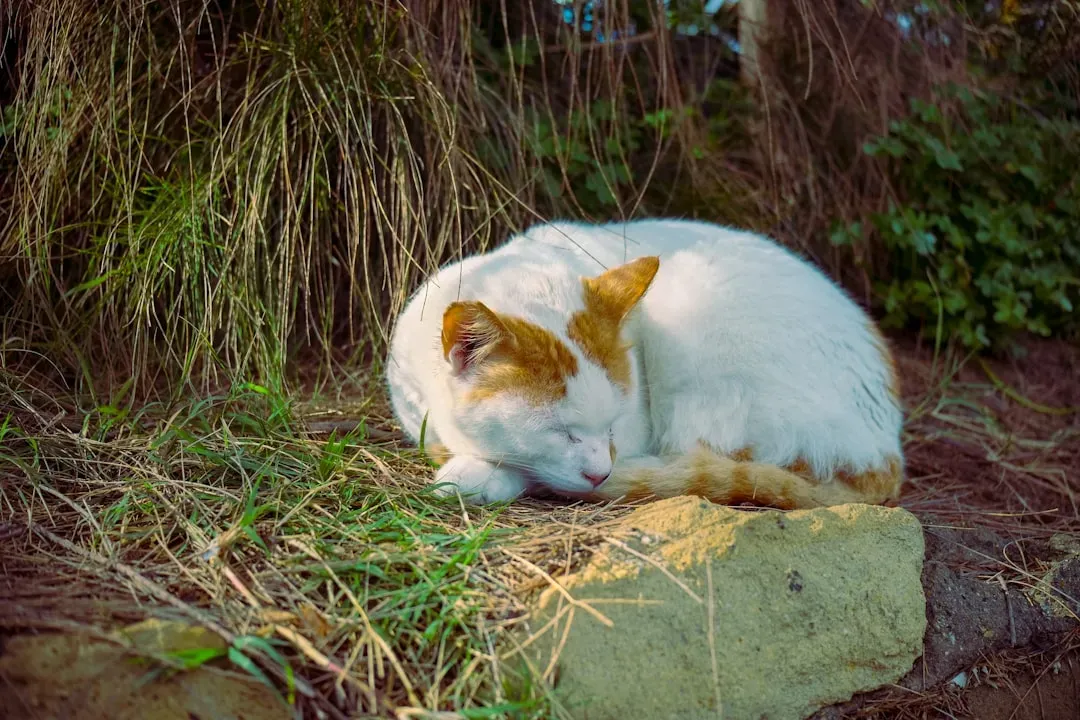 Fact: Your Grief Is Valid and Real (Image Credits: Unsplash)