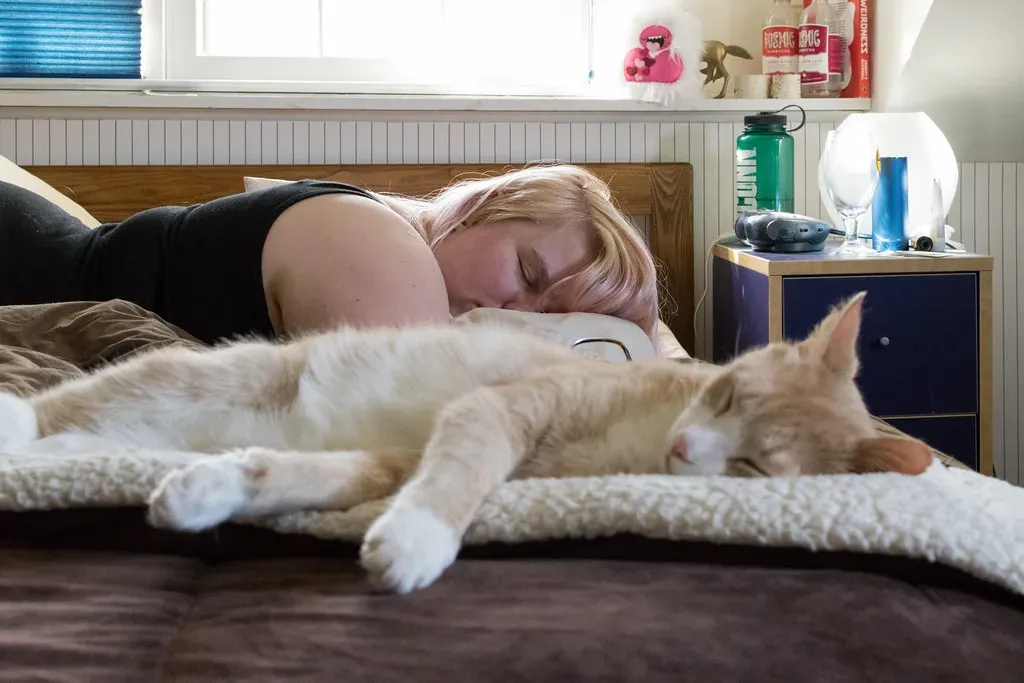 They Can Adapt To Your Schedule (Image Credits: Flickr)