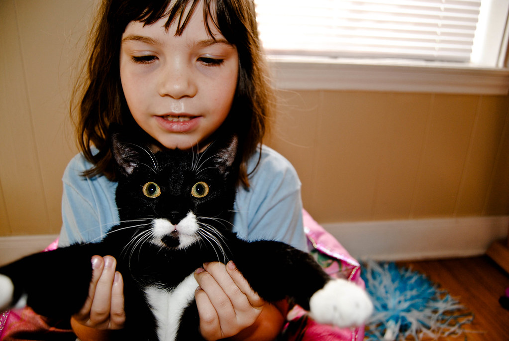 Getting Picked Up: The Loss of Control Crisis (Image Credits: Flickr)