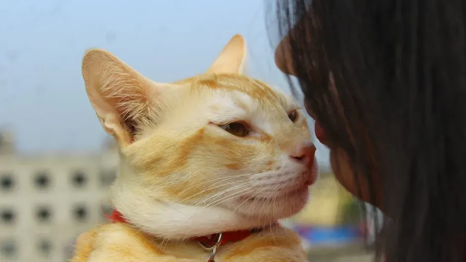 They Can Smell Your Fear. Literally. (Image Credits: Pexels)