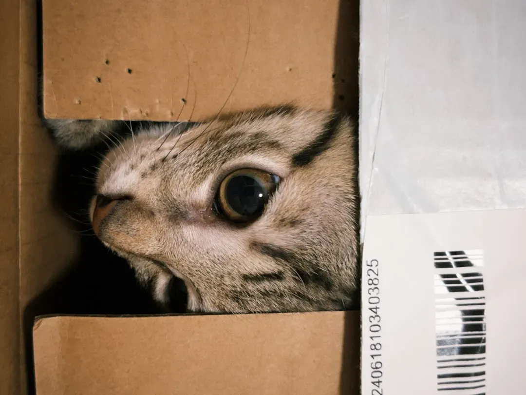 The Impossibly Tight Squeeze (Image Credits: Unsplash)