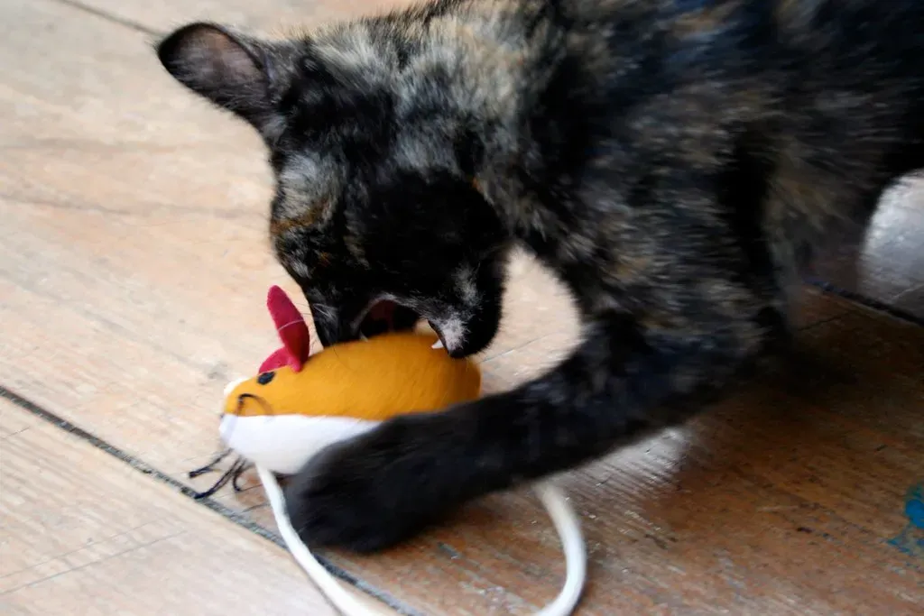 #6 The Toy Resembles Actual Prey (Rosa Pomar, Flickr, CC BY 2.0)