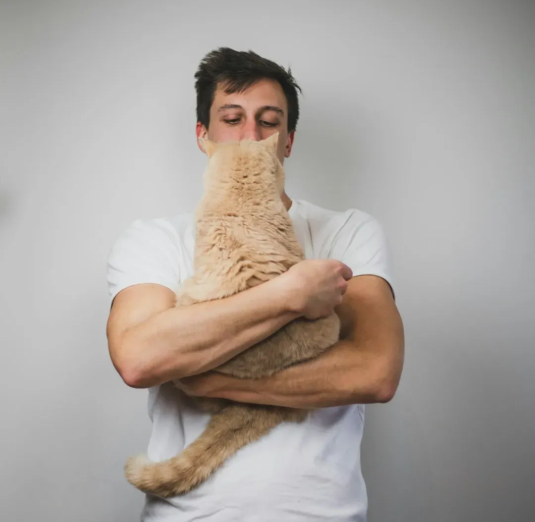 #8 - Storms and Loud Noises Turn Cats Into Velcro (Image Credits: Unsplash)