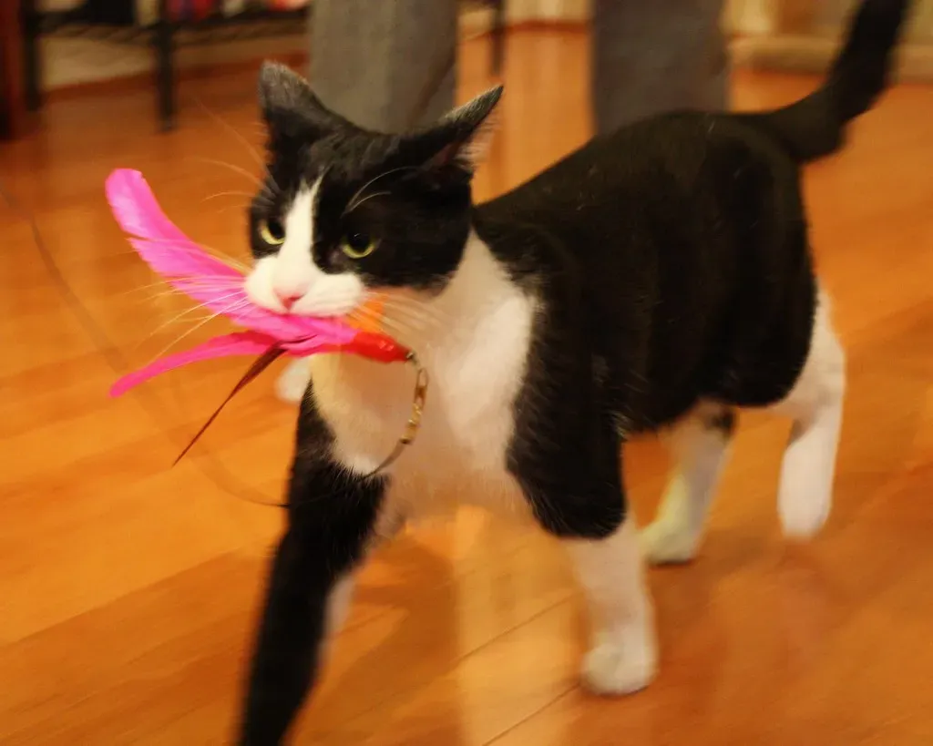 They Bring You Gifts (Yes, Even the Weird Ones) (Image Credits: Flickr)