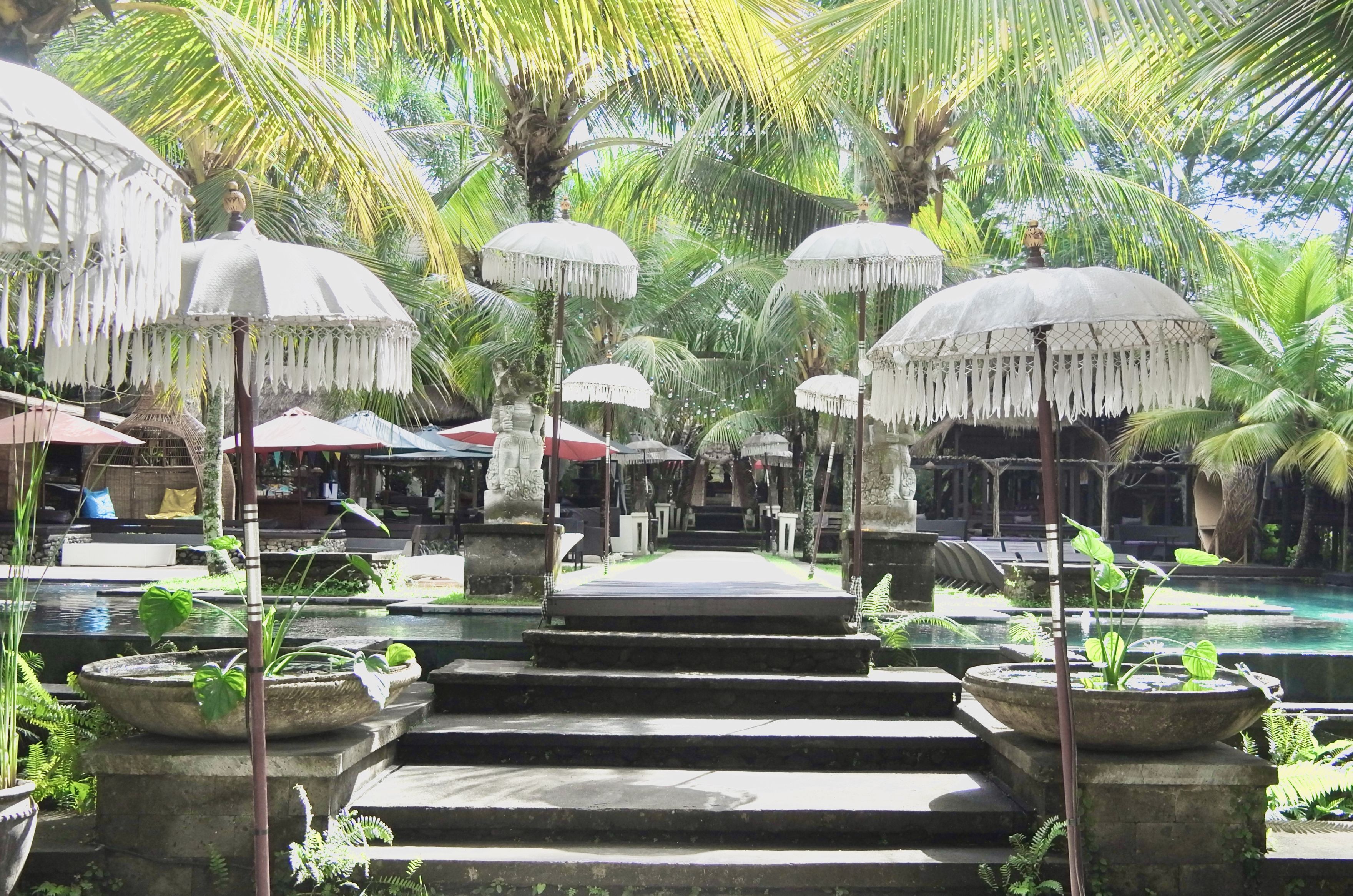 Taurus and the Sensual Explorer (Image Credits: Wikimedia)