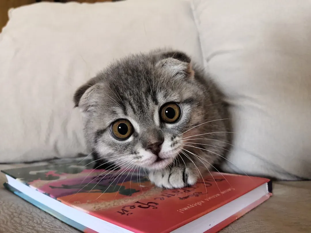 How Cats Actually Learn Words (Image Credits: Unsplash)