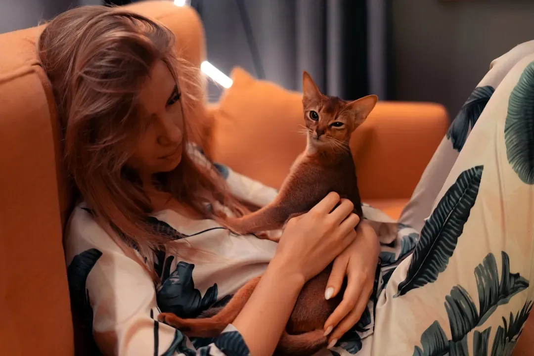 Conclusion: Your Cat Chose You, and That Means Everything (Image Credits: Unsplash)