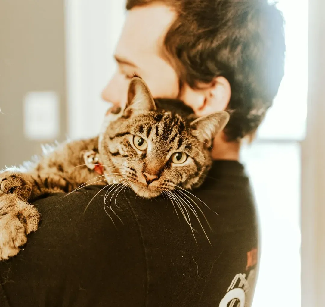 #13 - At the Core, It's Genuine Emotional Attachment (Image Credits: Unsplash)