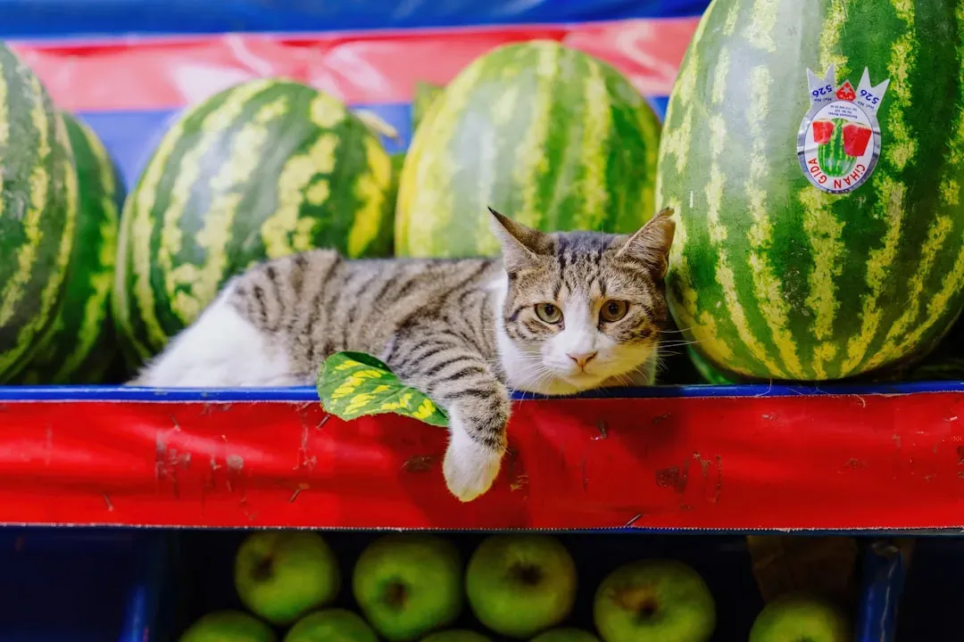 Fruits: Occasionally Fine, Often Ignored (Image Credits: Unsplash)