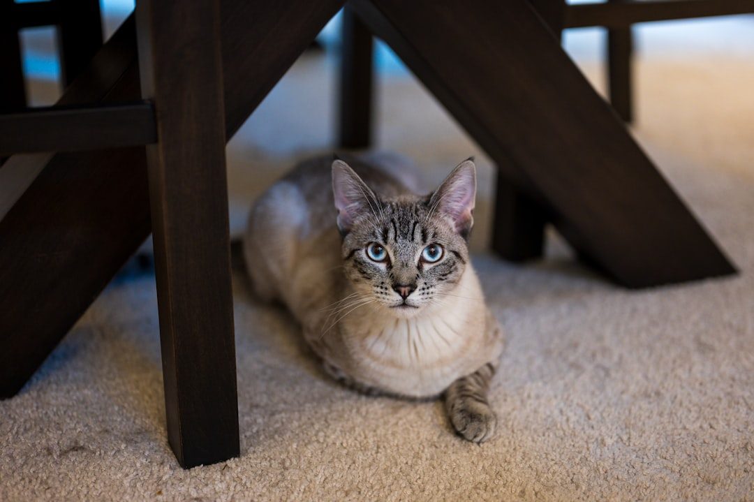 They're Crepuscular Creatures (Image Credits: Unsplash)