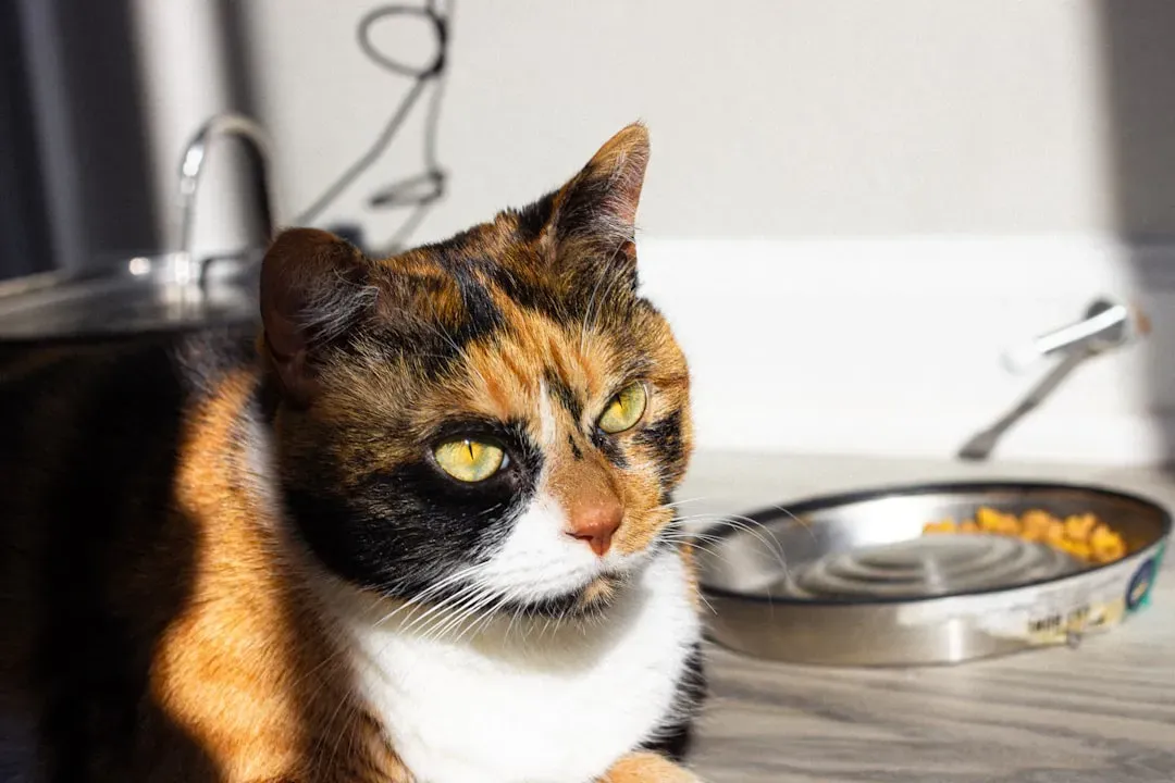 Resource Guarding: The Food Bowl Power Struggle (Image Credits: Unsplash)