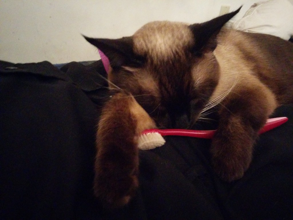 Personal Care Items (Image Credits: Flickr)