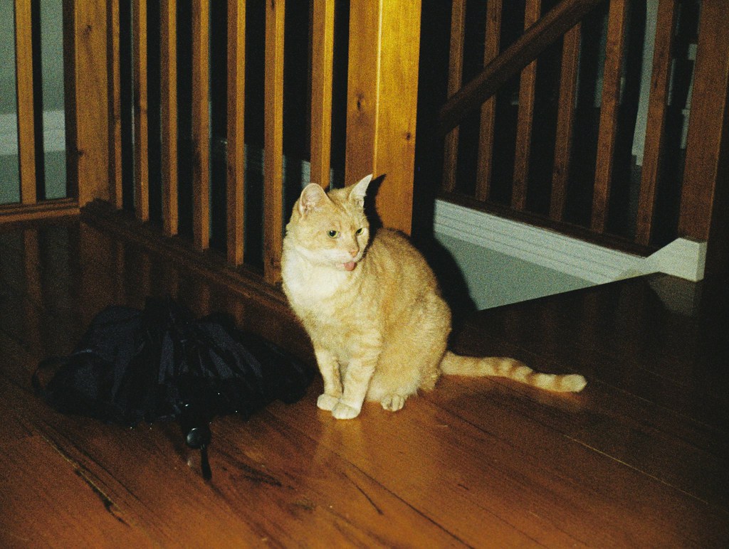 Keep Telling Our Stories (Image Credits: Flickr)