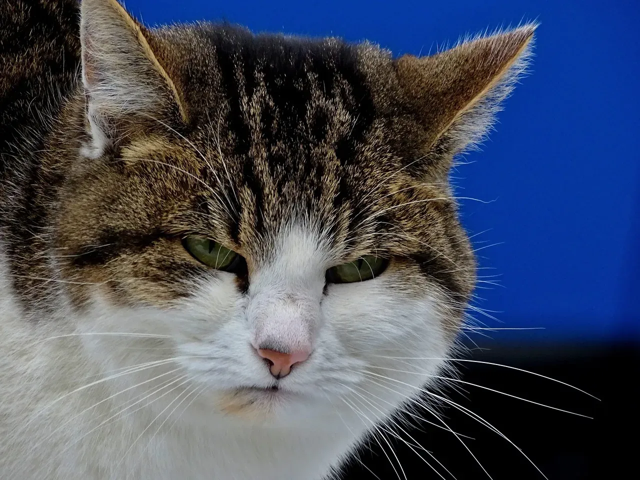 Body Language That Screams Disapproval (Image Credits: Pixabay)