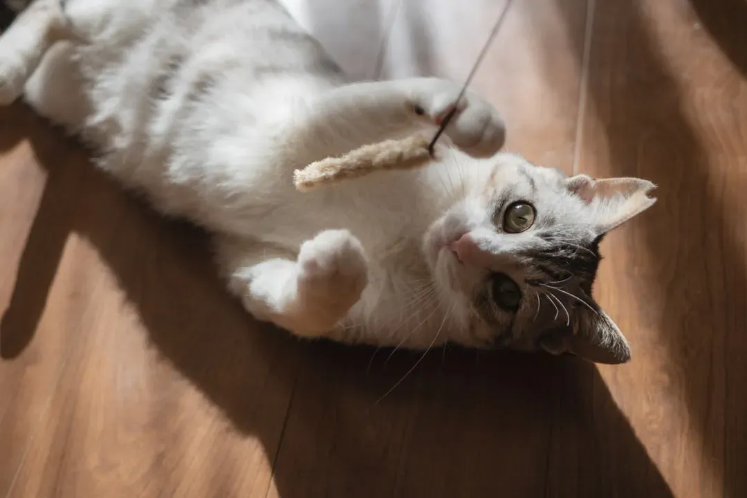 How You Can Satisfy the Ancient Hunter in Your Home (Image Credits: Unsplash)