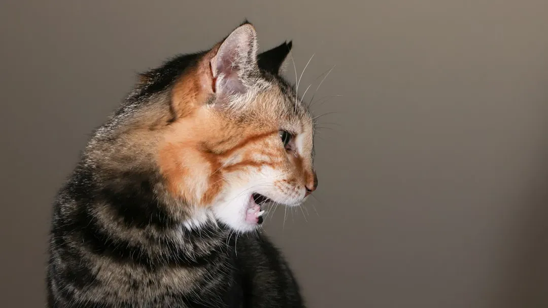 Chirping and Chattering: Windows Into Your Cat's Hunting Brain (Image Credits: Unsplash)