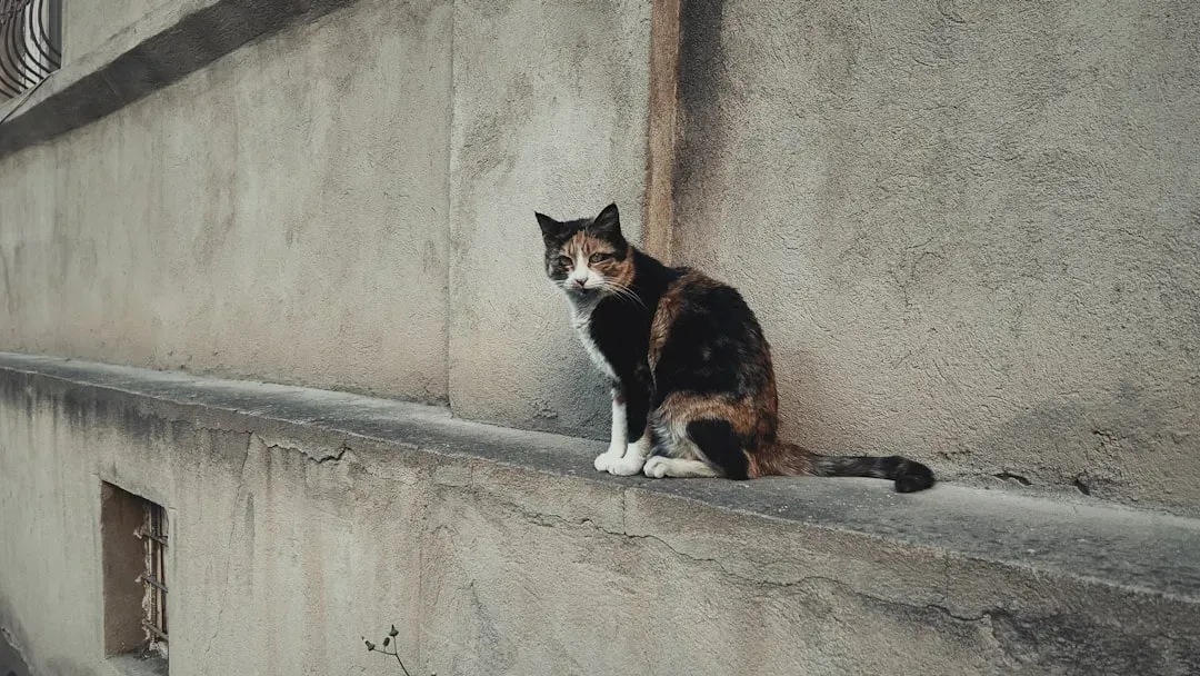 When Bathroom Following Might Be a Concern (Image Credits: Unsplash)