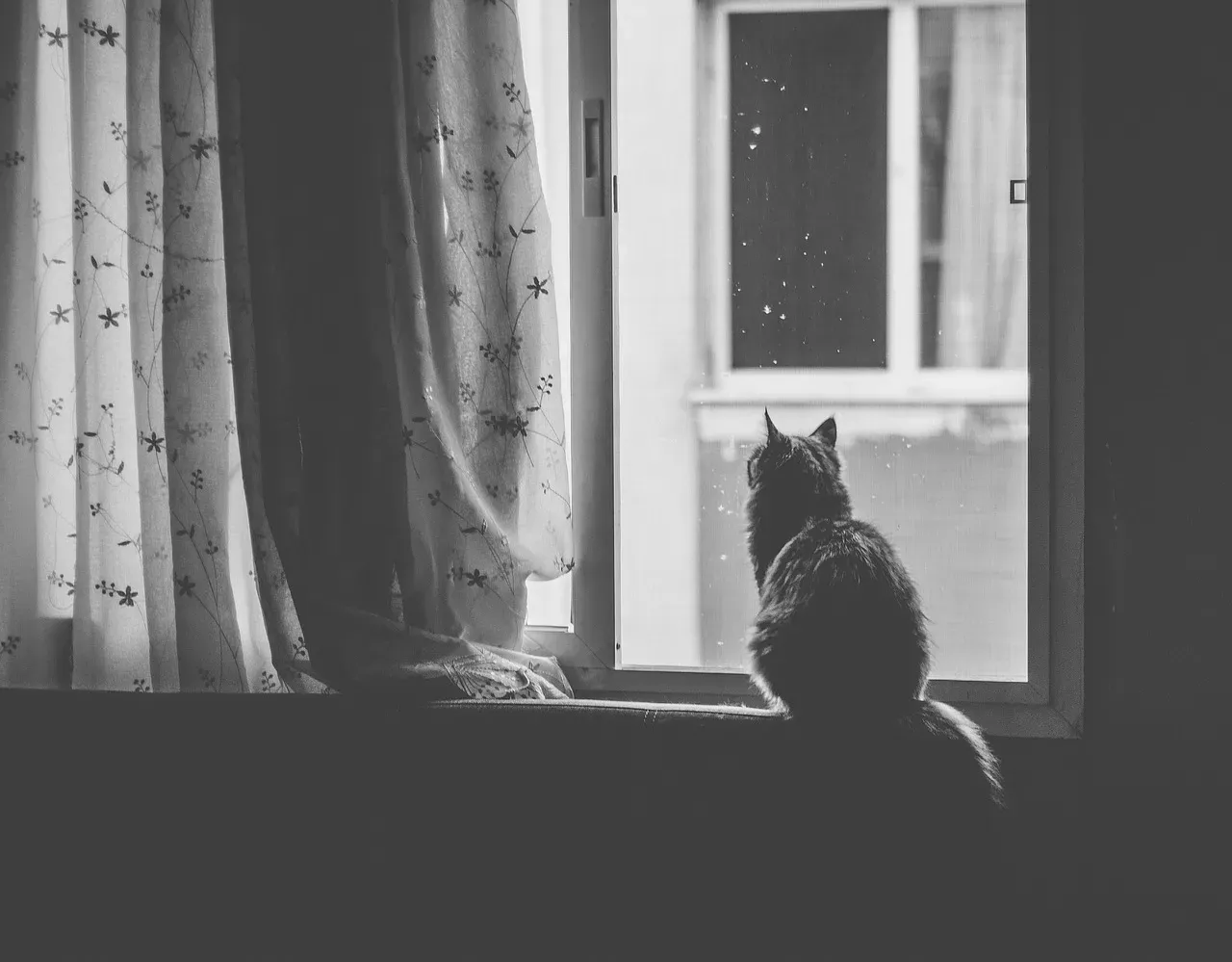 #2 - Silence Over Stimulation (Image Credits: Pixabay)