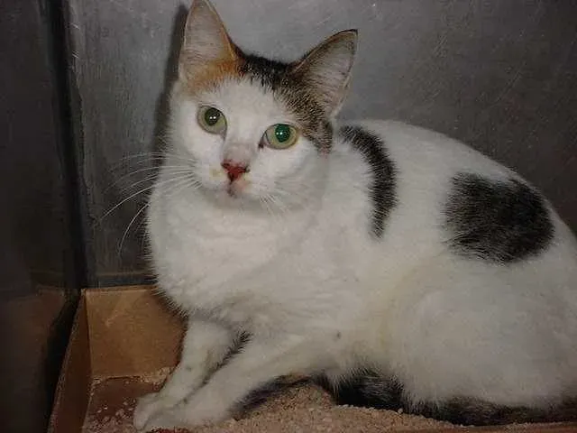 Conclusion (Image Credits: Flickr)