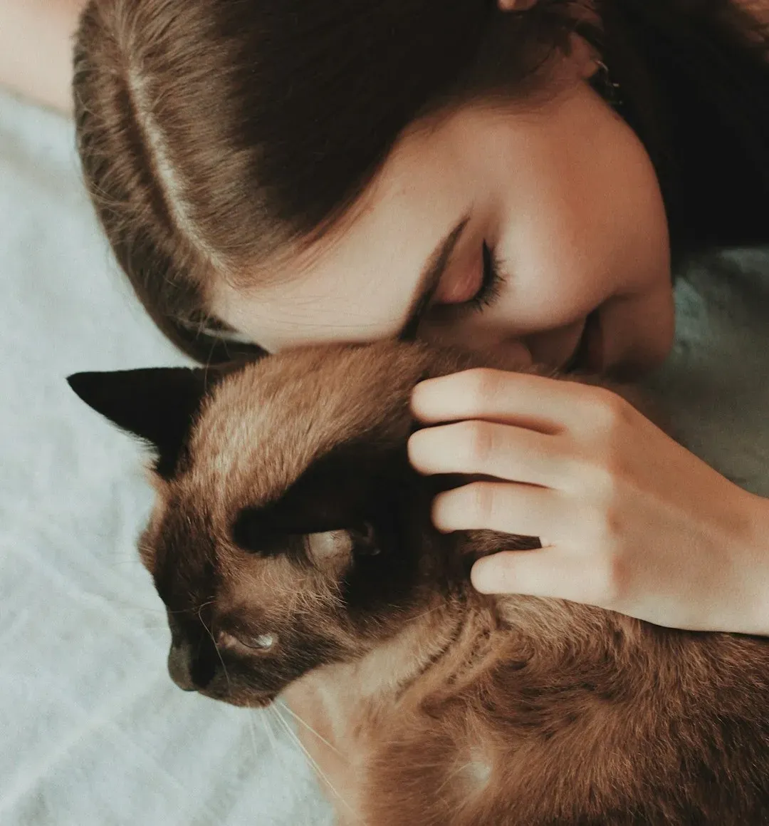 Your Cat Uses the Head Spot to Strengthen Your Bond (Image Credits: Unsplash)