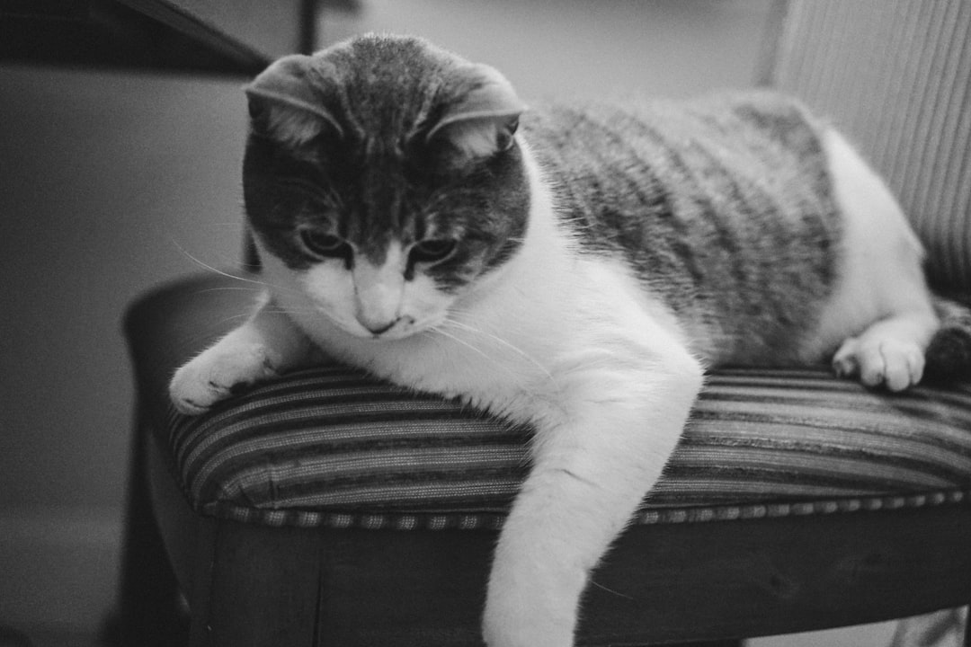 Managing Arthritis and Joint Pain (Image Credits: Unsplash)