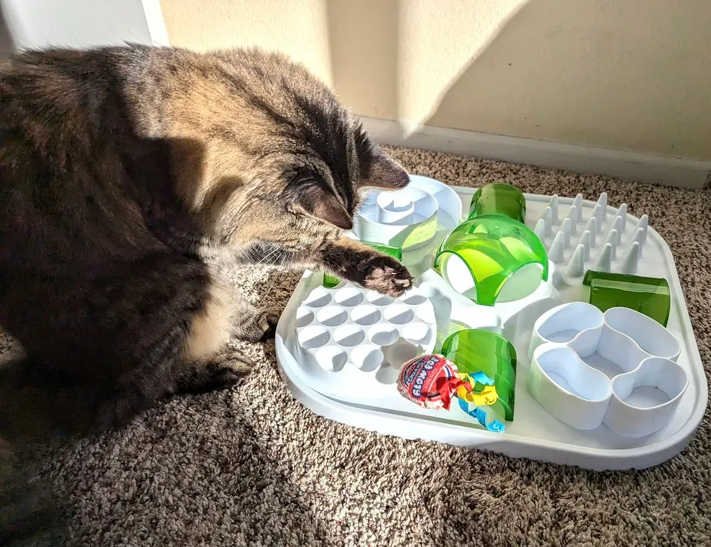 Puzzle Toys Engage the Problem-Solving Hunter Within (Image Credits: Flickr)