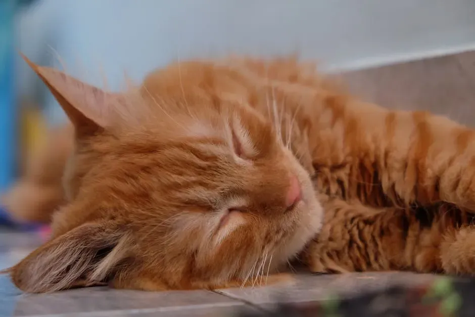 Catnaps Are Actually a Genius Sleep Strategy (Image Credits: Pexels)