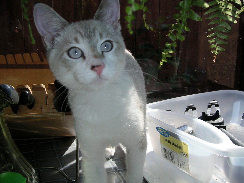 Exploring Forbidden Territory (Image Credits: Flickr)