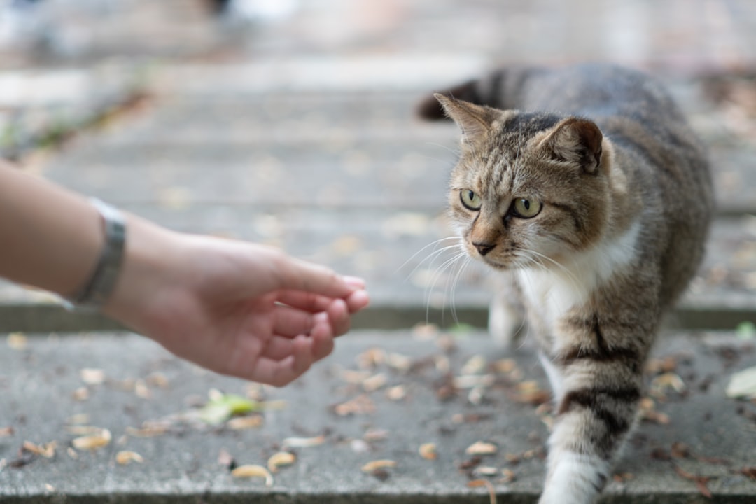 The Art of Immediate Forgiveness (Image Credits: Unsplash)